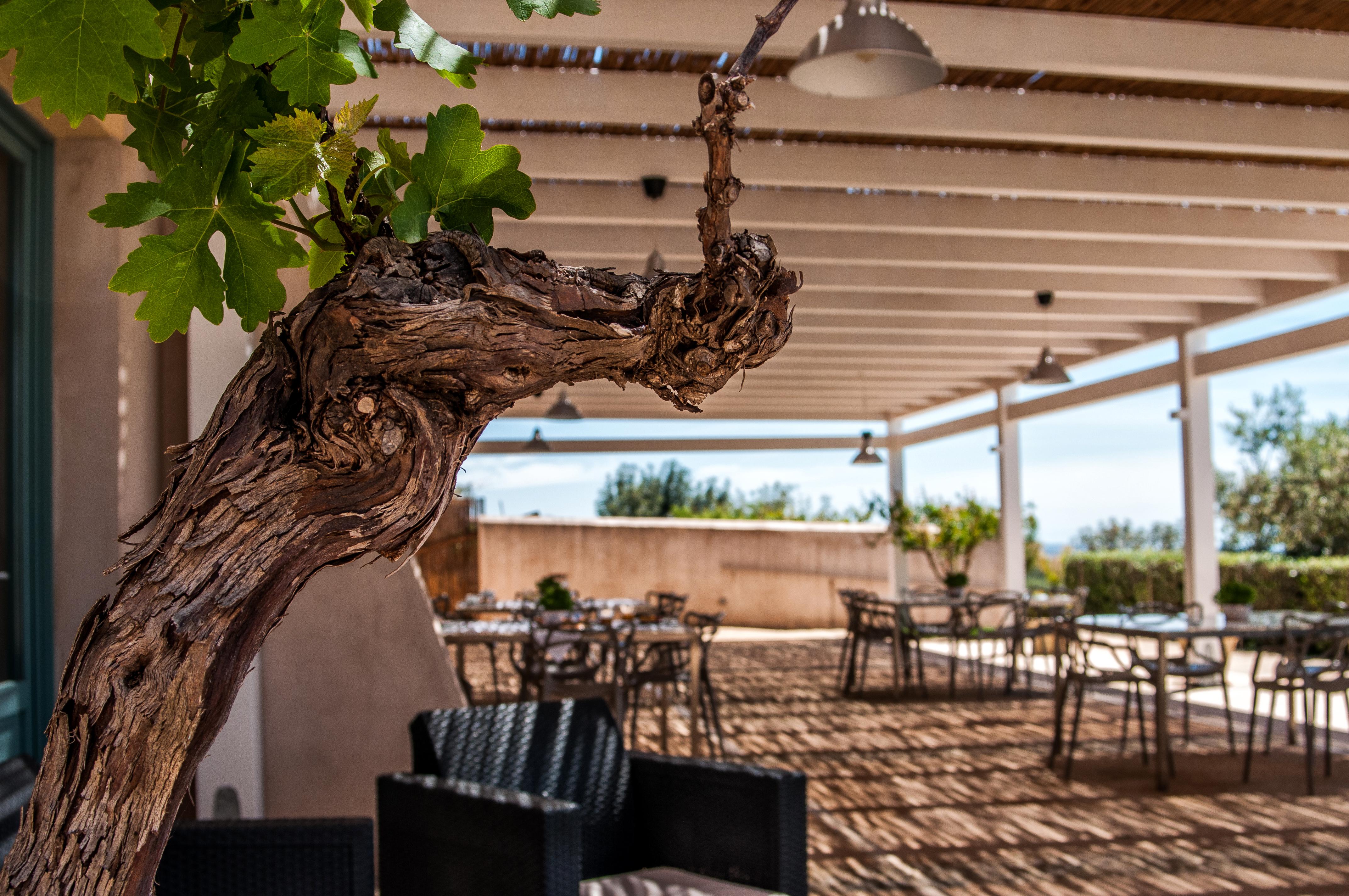 Relais Casina Miregia Hotel Menfi Buitenkant foto