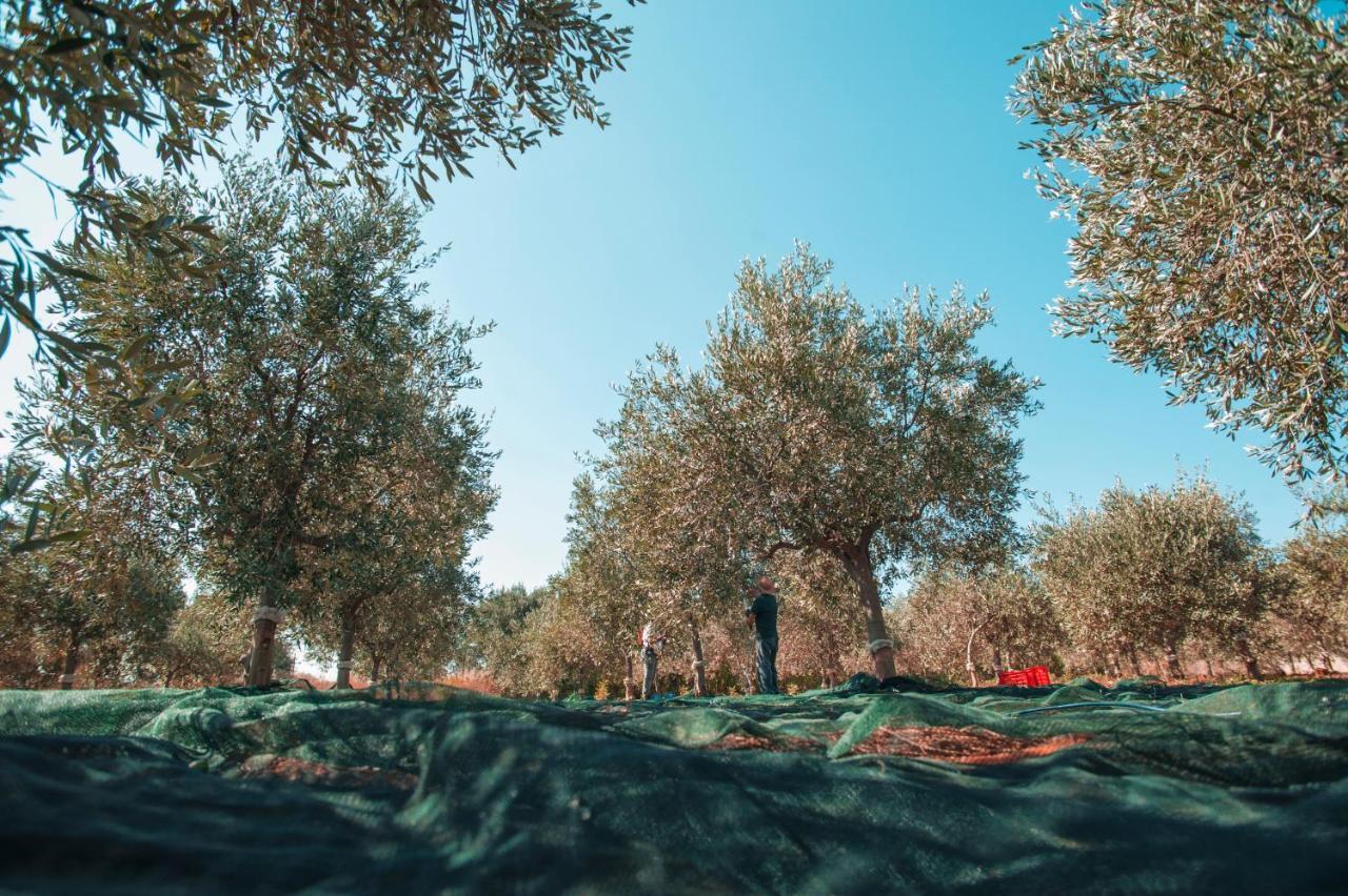 Relais Casina Miregia Hotel Menfi Buitenkant foto